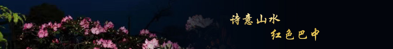 巴中(zhōng)錦彙